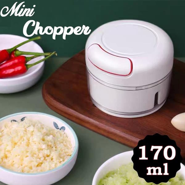 2402 Mini Garlic Chopper Mixer, Portable Cordless Grinder - Your Brand